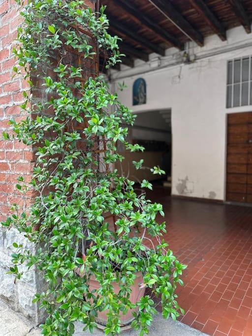 Casa Rovani 세스토 산 지오반니 외부 사진